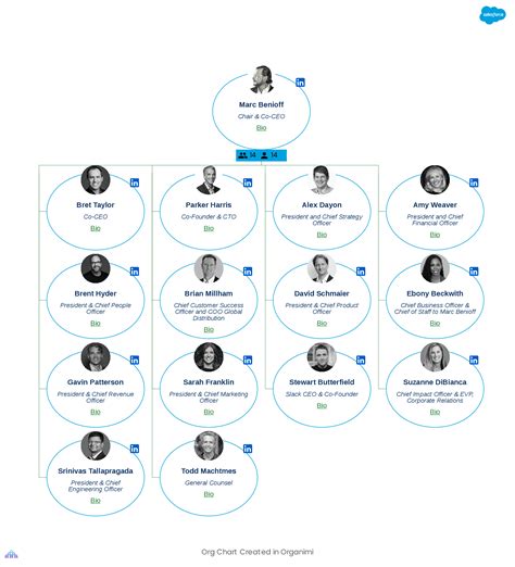 leaked salesforce org chart|Leaked Salesforce org chart shows the 12 most important execs。